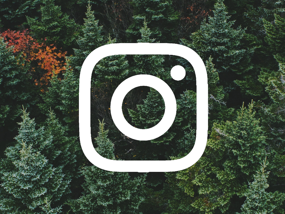 Volg Nederland plant bomen op Instagram!